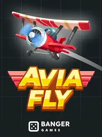 Avia Fly Avia Fly crash at XE66 COM